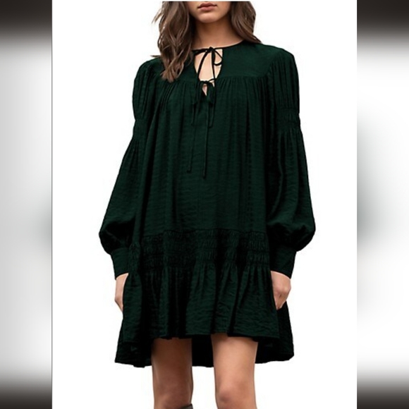 NWOT Moon River Dress Long Puff Sleeve Shirred Mini Dress - Picture 1 of 8